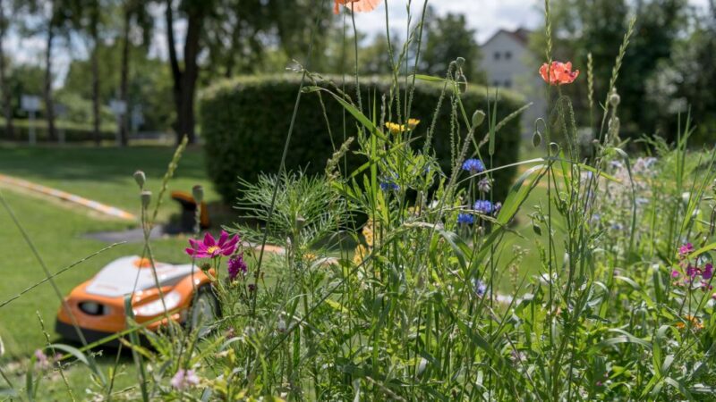 biodiversität-garten