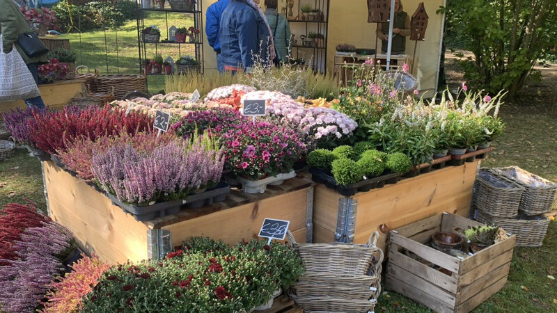 Faszination Garten auf Schloss Weingartsgreuth