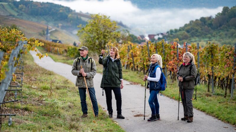 Wandertage-Taubertal