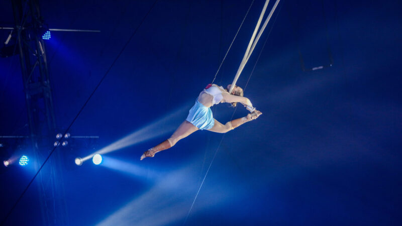 Würzburger-Weihnachtscircus-Anna-Demeter