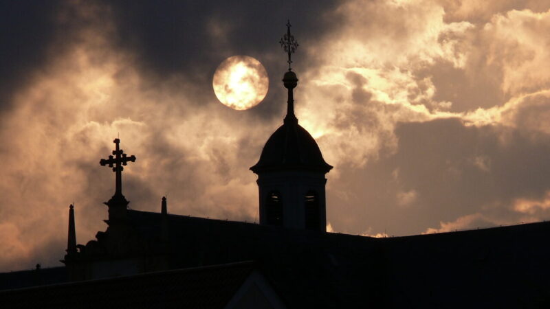 Führung-Dettelbach-Nachtschwärmer
