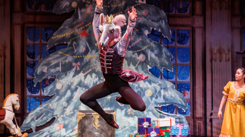 nussknacker würzburg 2025