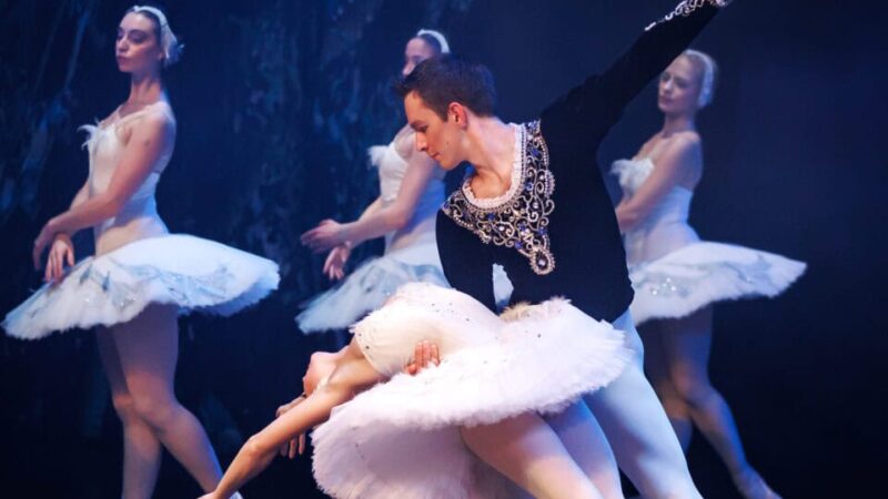 schwanensee-würzburg-2026