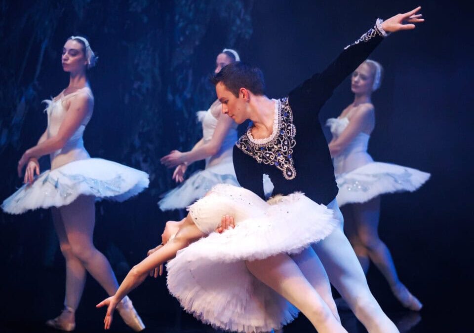 schwanensee-würzburg-2026