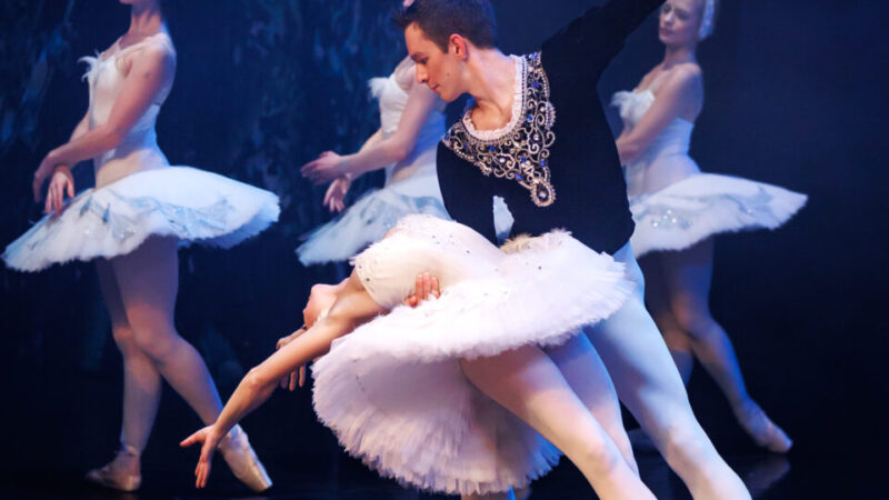 Schwanensee-Würzburg-Gewinnspiel