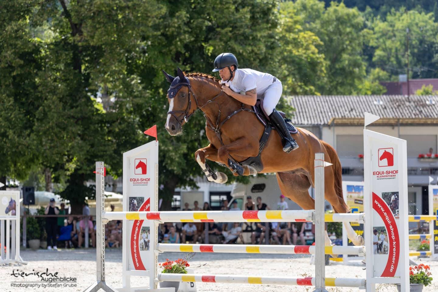 kiliani-reitturnier-würzburg-2026