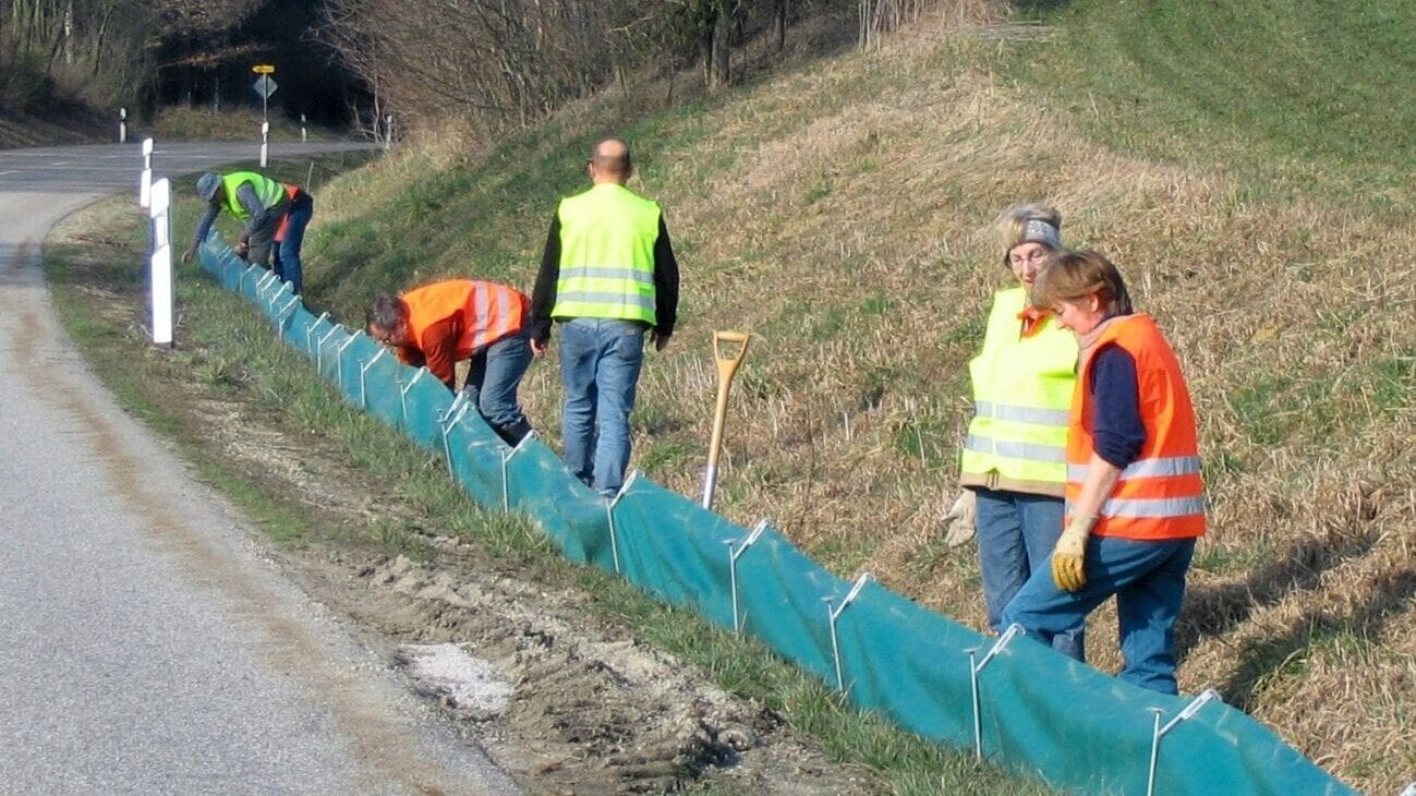 Krötenwanderung-Würzburg-Krötenzaun
