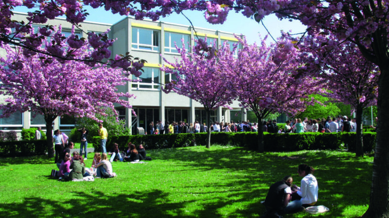 Dag-Hammarskjöld-Gymnasium