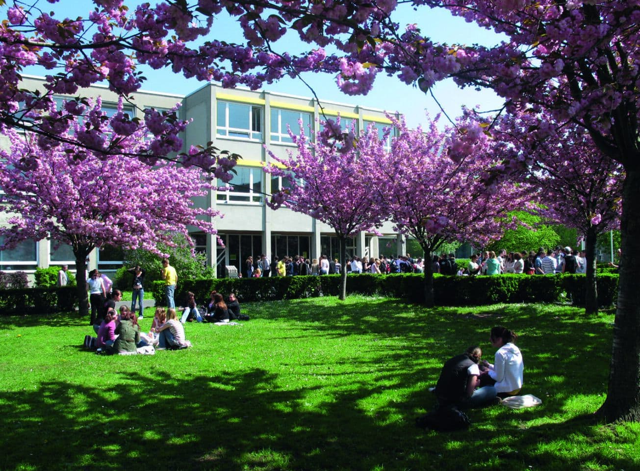 Infoabend am Dag-Hammarskjöld-Gymnasium