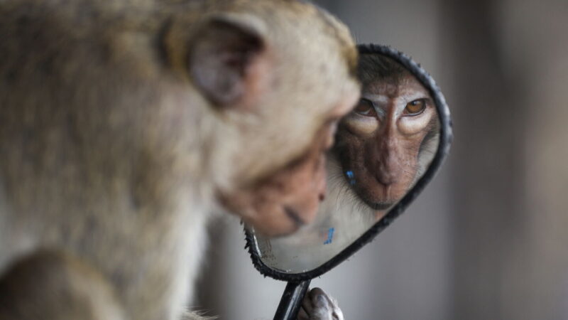 world-press-photo-kitzingen-2026