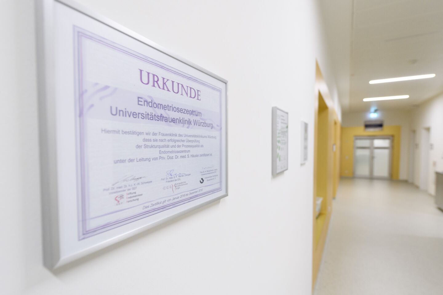 Endometriose-Frauenklinik-Würzburg-Infoabend