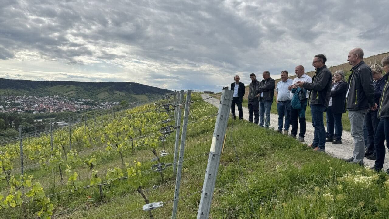 klimawandel-franken-weinbau