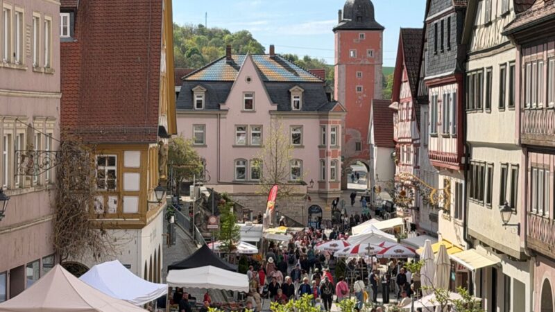 Ochsenfurt-Sommermarkt