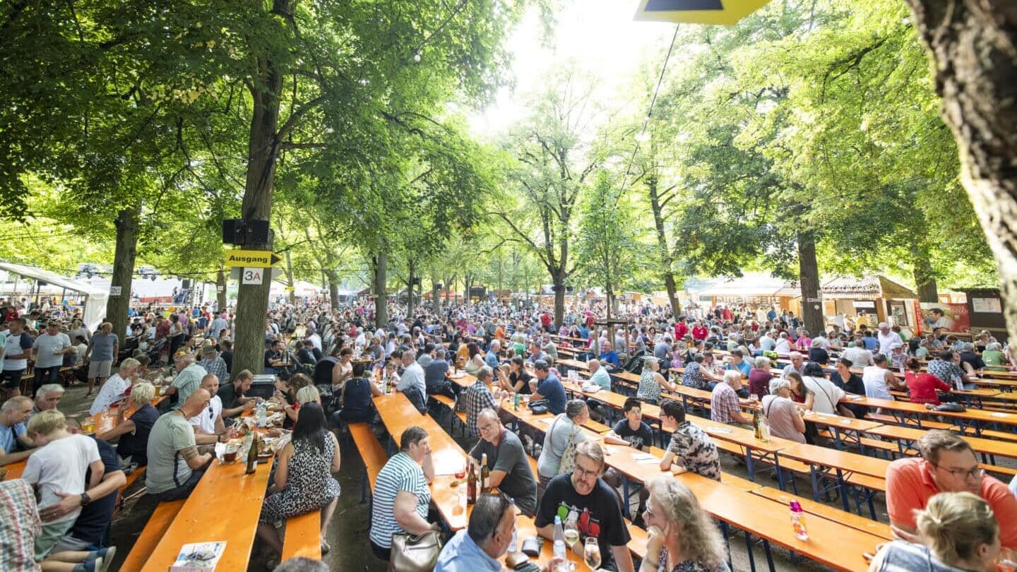 Fränkisches-Weinfest-Volkach-Bäume