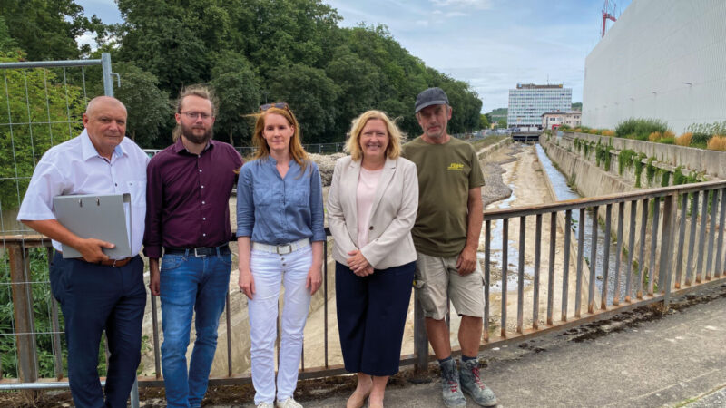 Pleichach-Würzburg-Aufwertung
