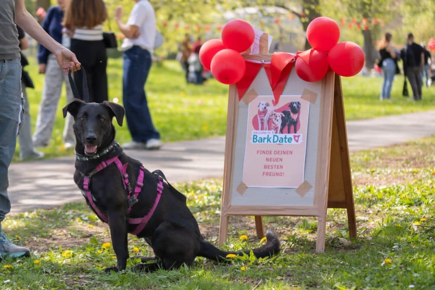 Bark-Date-Würzburg-2026